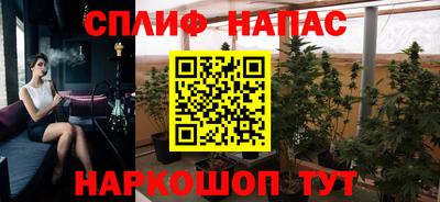 прущие грибы Лениногорск