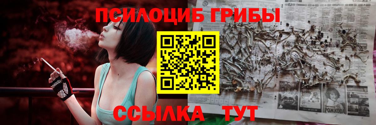 Дзержинский  Галлюциногенные грибы GOLDEN TEACHER  Вход с VPN 